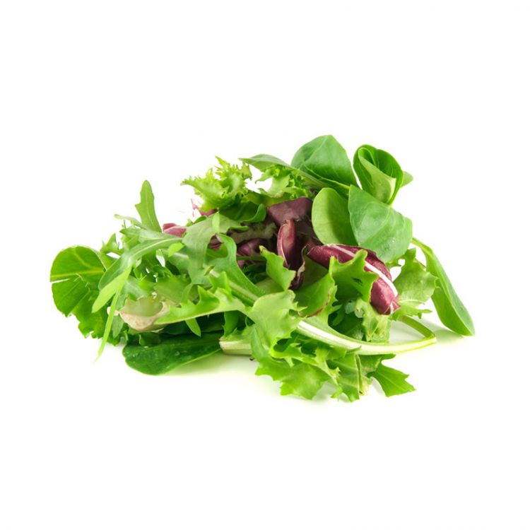 BIO šalát mix 100g