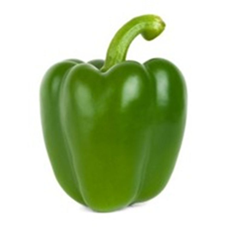 Paprika zelená 1ks kal.GG l./ Paprika grun gelegt