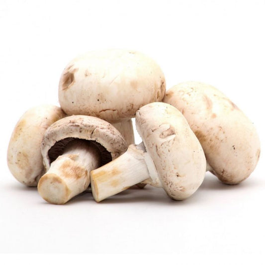 Šampiňony biele 500g / Champignon 500g