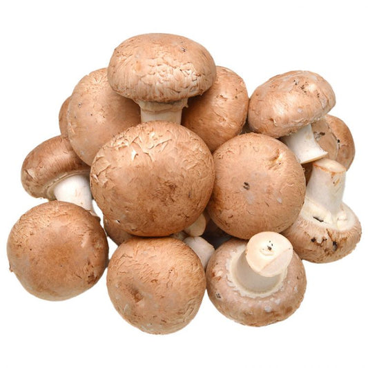 Šampiňoný krémové 500g / Champignon creme 500g
